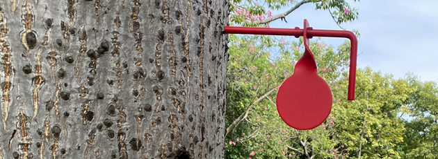 Slingshot Wooden Target