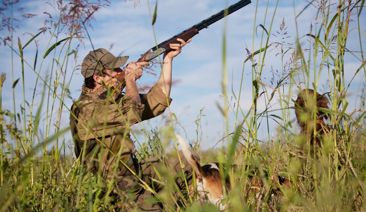 Everything You Need To Know About Hunting On Public Land