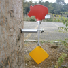 Tree Inserting Rotating Animal Target